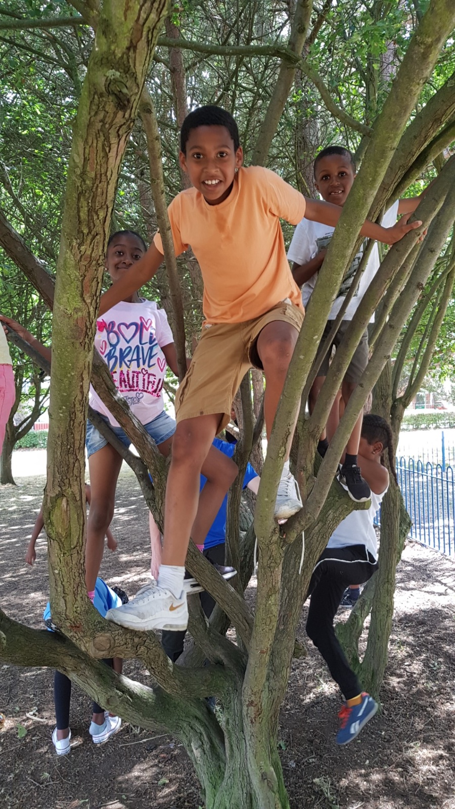 20180723 145748 (Large)